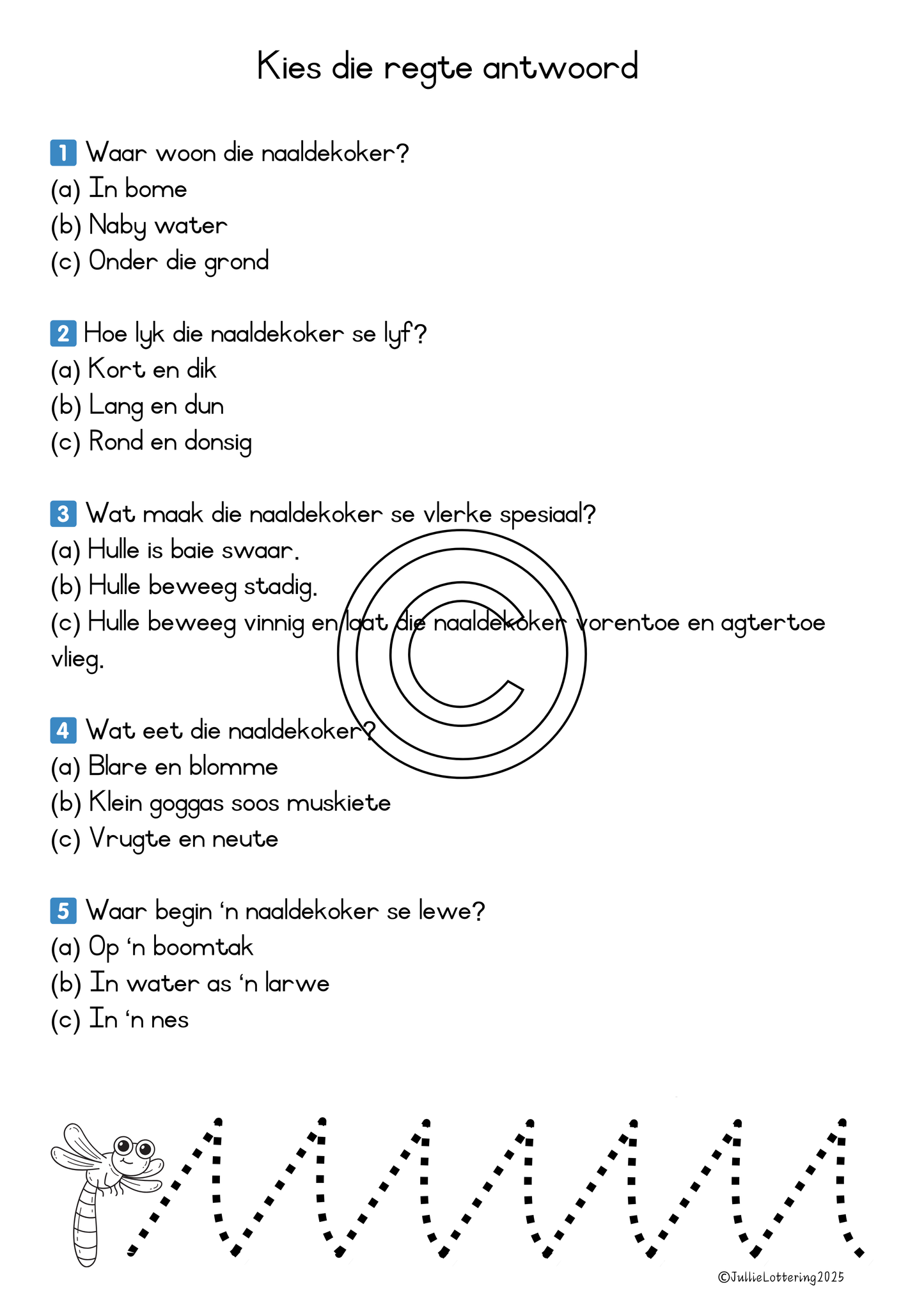 Naaldekoker Begripslees graad 1-3