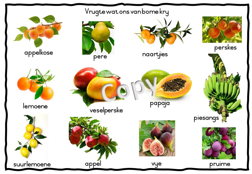 Hout en Bome Tema Lesbeplanning 2-3jaar Afrikaans