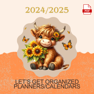 Let's Get Organized 2025