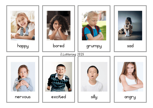 Emotions Flashcards