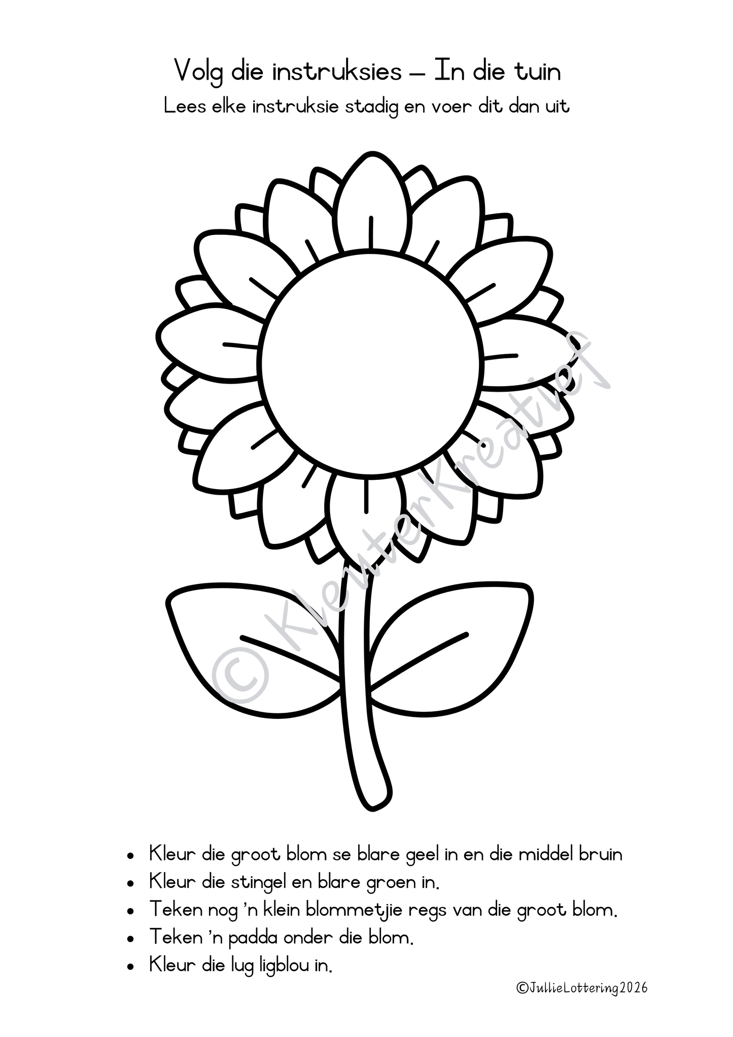 Graad 2 Volg-die-Instruksies Werkboek (PDF – 15 Bladsye)