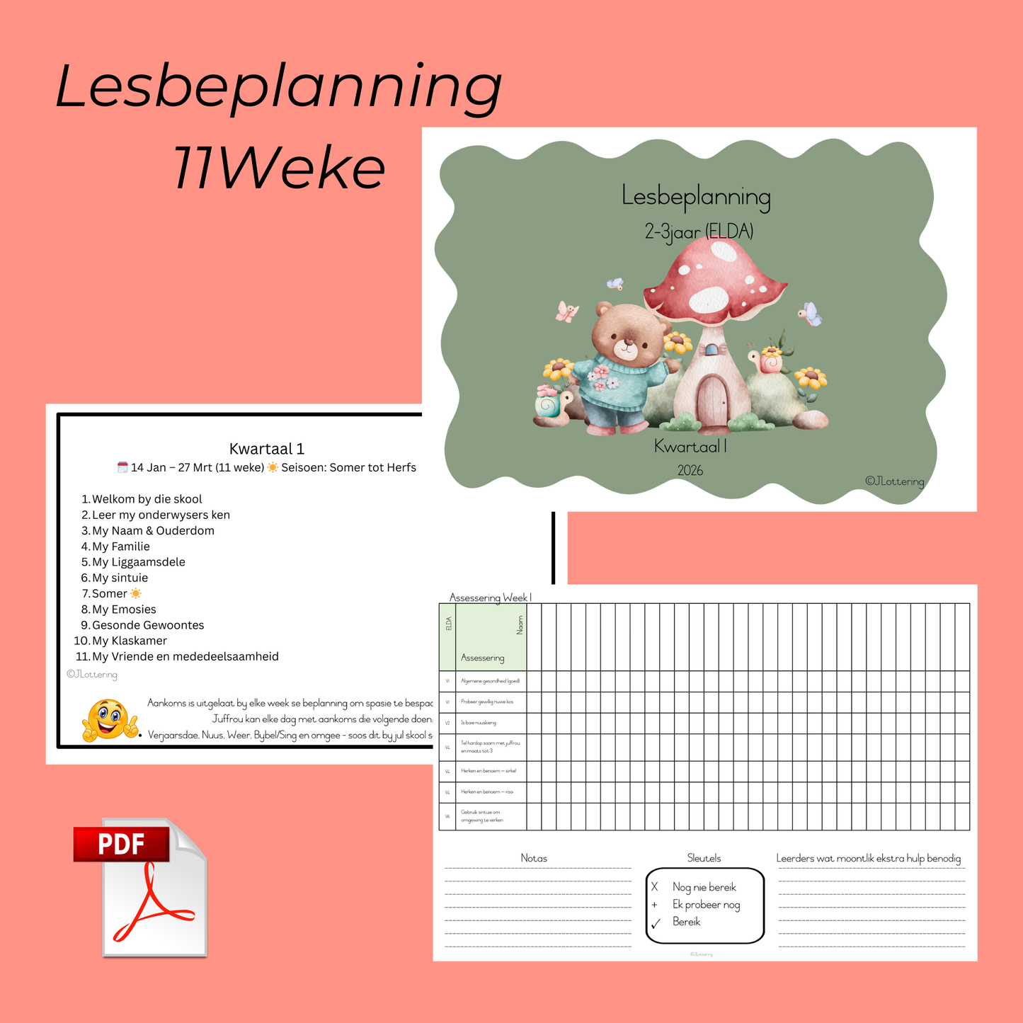 2–3jr Term 1 Kurrikulum (2026) | ELDA | Lesbeplanning + Werkboek + Verslagkaarte