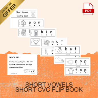 Short Vowels Flip book