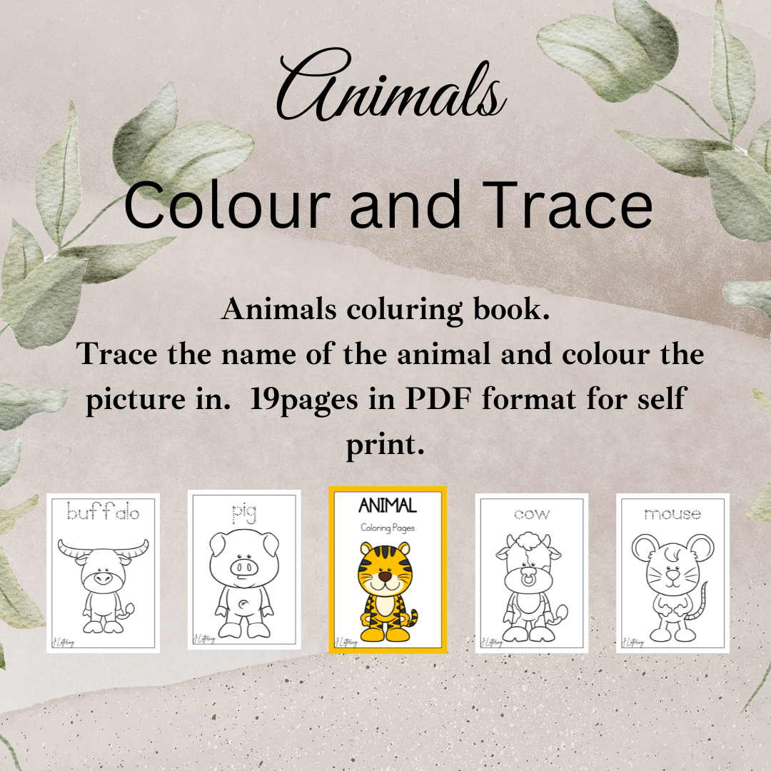 Animals Colouring book