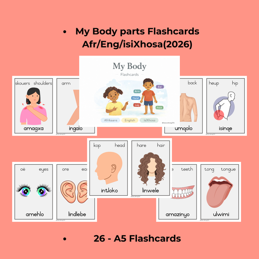 My Body Parts Flashcards  Afrikaans | English | isiXhosa (2026)
