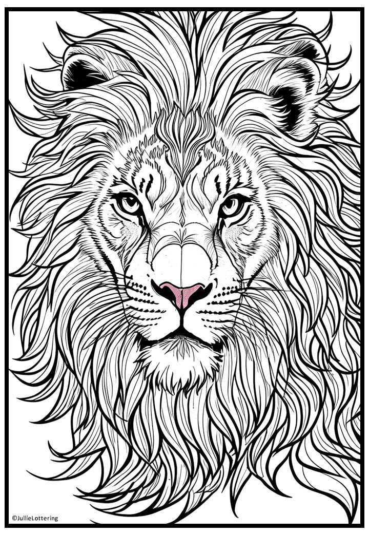 Lions Adult colouring book