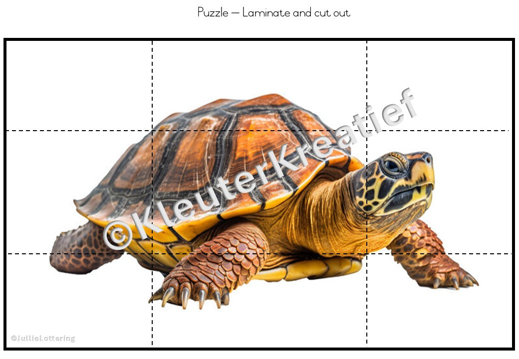 Reptile Theme Lesson Planning 3-4yr olds