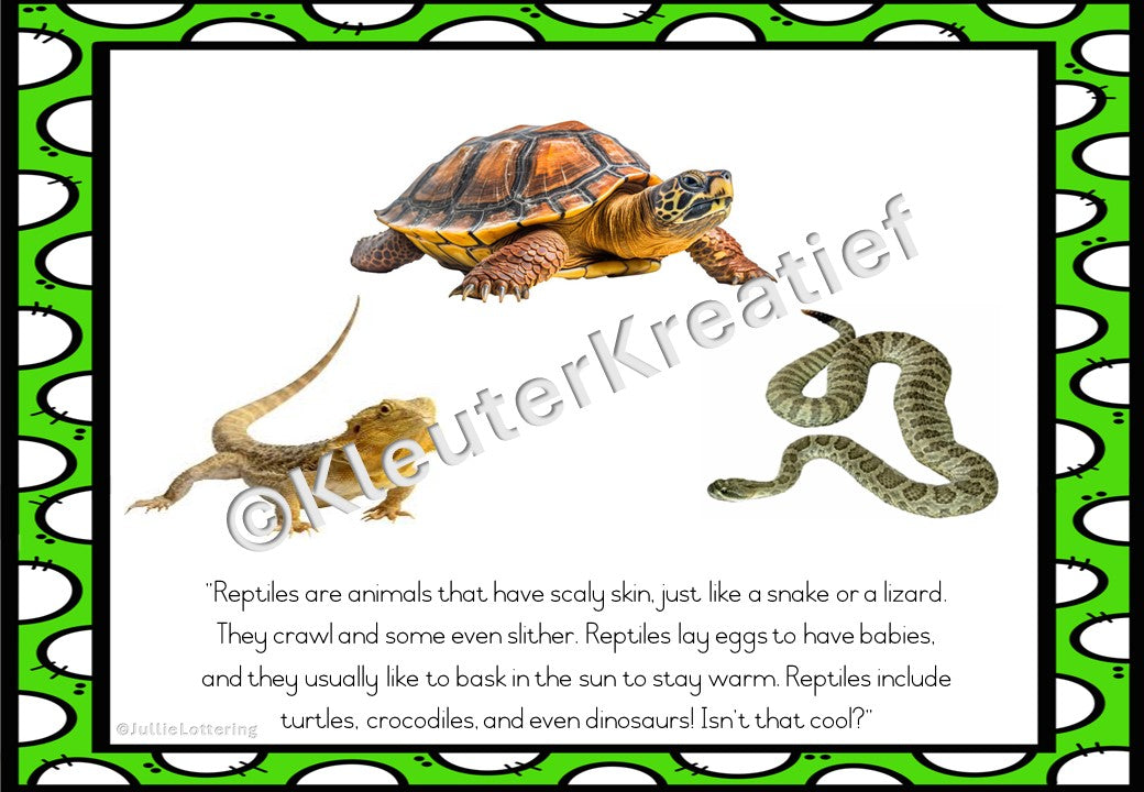 Reptile Theme Lesson Planning 3-4yr olds