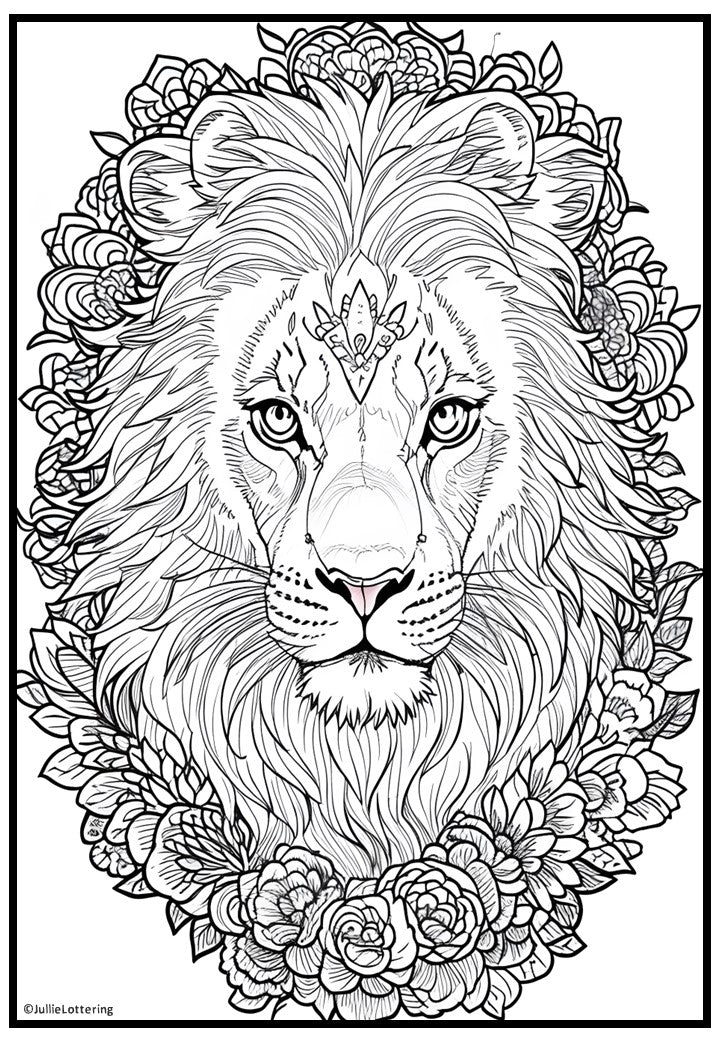 Lions Adult colouring book