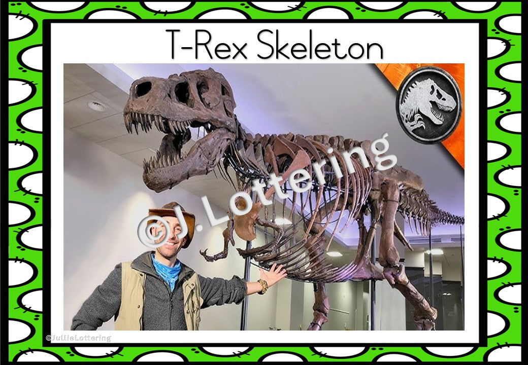 Dinosaur theme lesson planning (1week) 3-4yrs