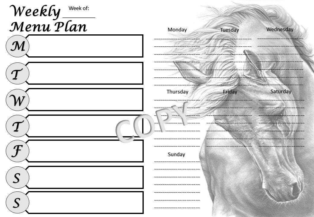 2023 Planner/Calendars