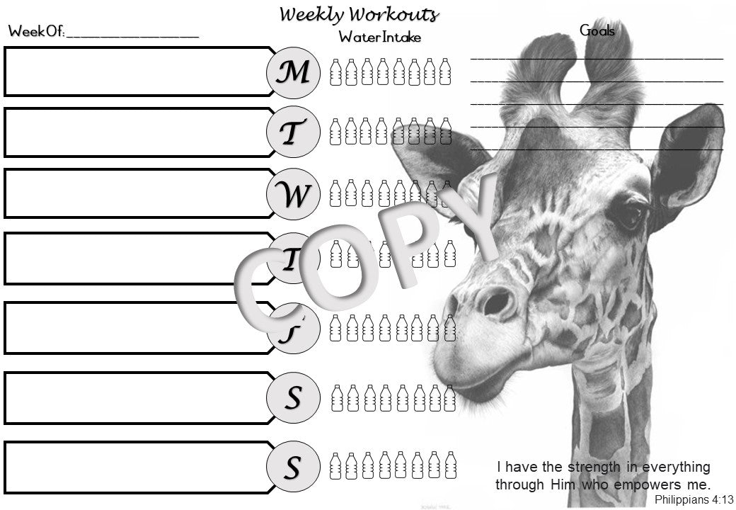 Teachers Planner Giraffes Theme English