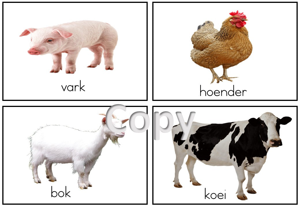 Flitskaarte Afrikaans