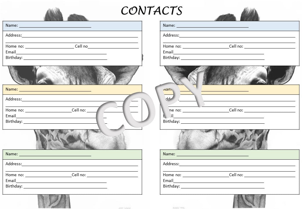 Teachers Planner Giraffes Theme English